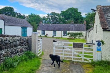 Molly at Ellisland Farm